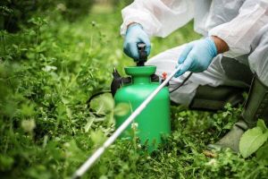 Bariery i wyzwania dla pestycydów: perspektywa na rok 2030